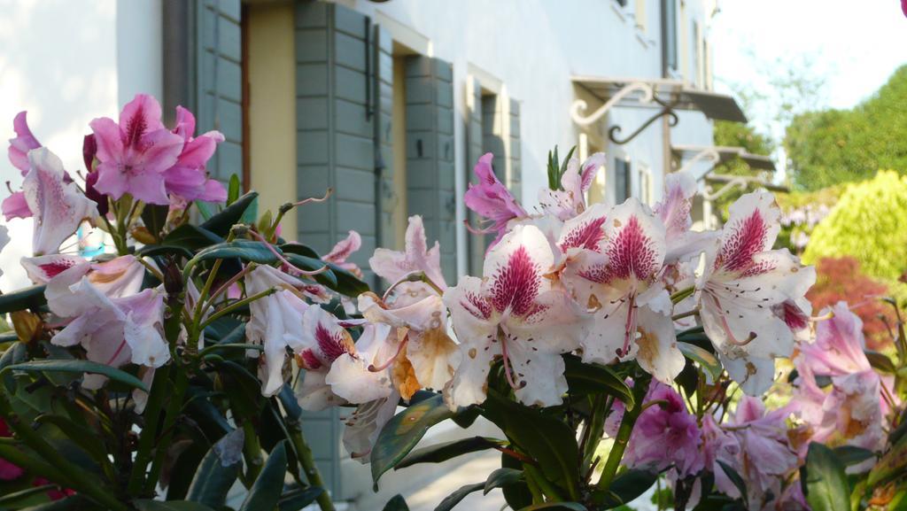 Residenza Serena Mirano Exterior photo