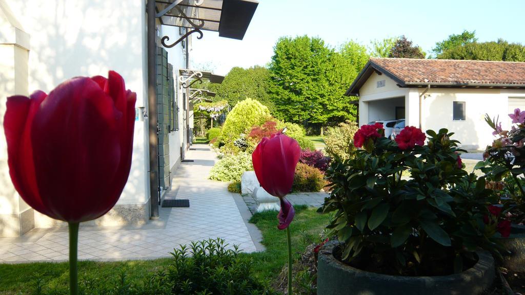 Residenza Serena Mirano Exterior photo